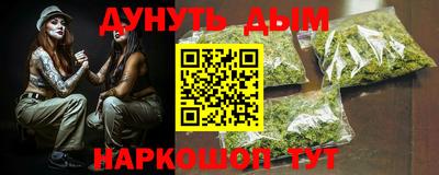 гидра Будённовск