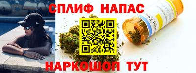 гидра Будённовск
