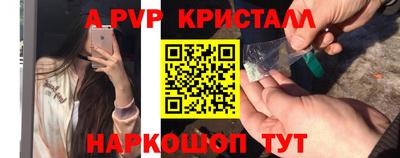 гидра Будённовск