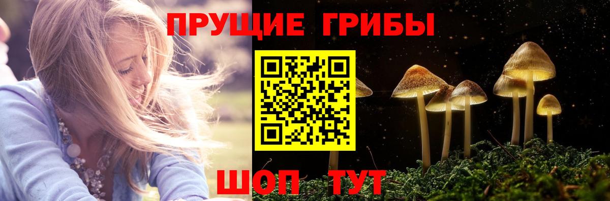 Псилоцибиновые грибы Psilocybine cubensis Мыски